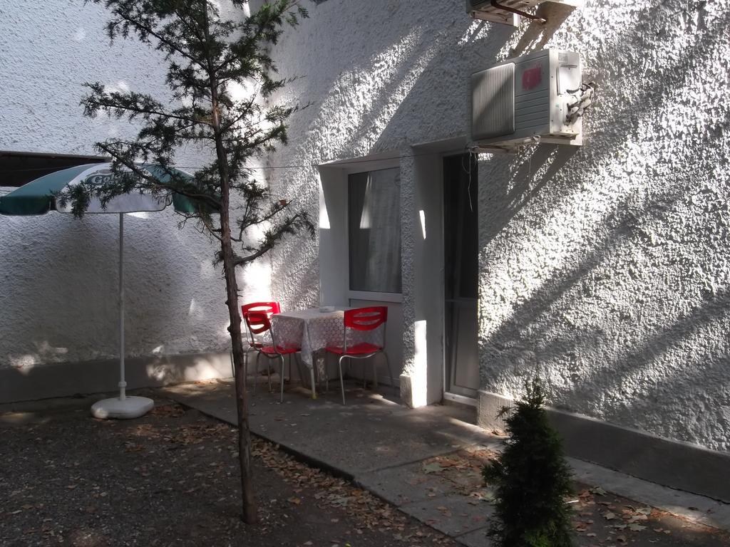 Pensiunea Ruxandra ヴィーナス 部屋 写真